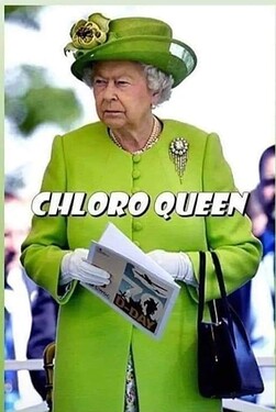 Chloro-Queen